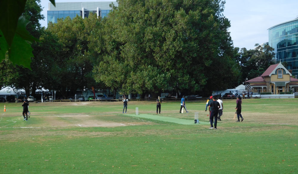 Spark Cricket League 2020 Zoyinc